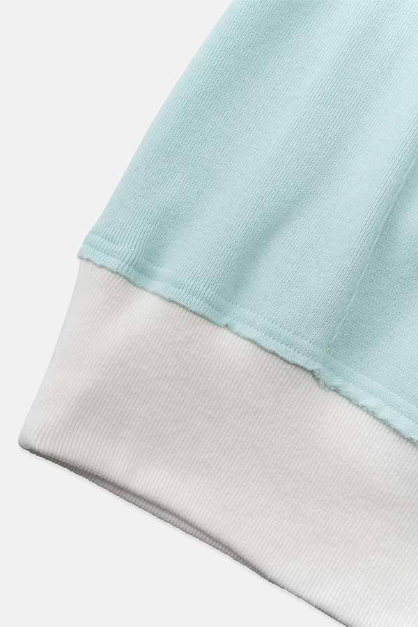 Reverse weave Hoodie