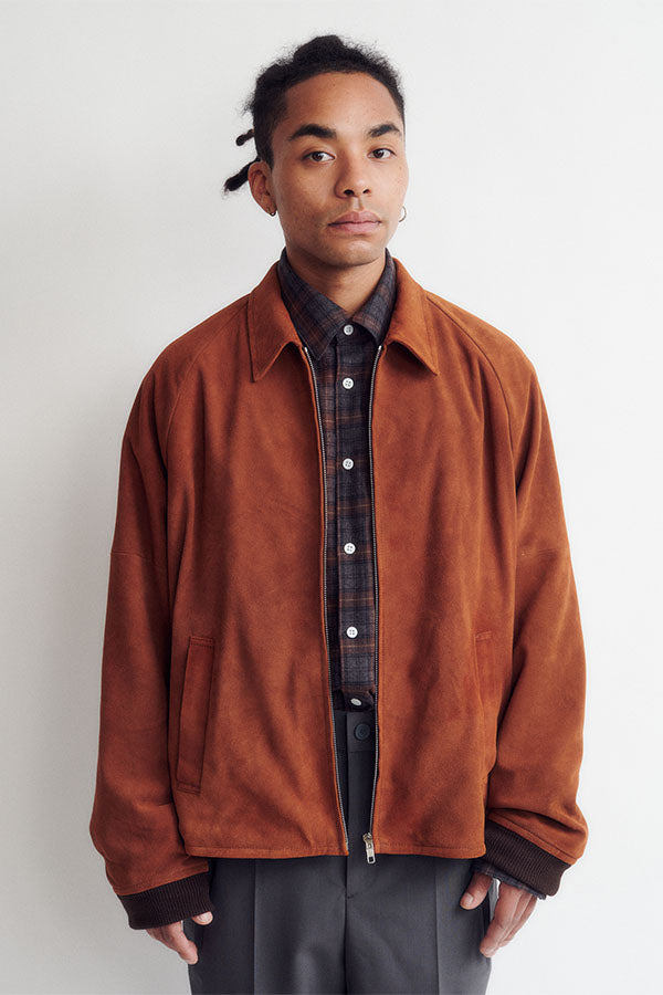Dress shirt (check)