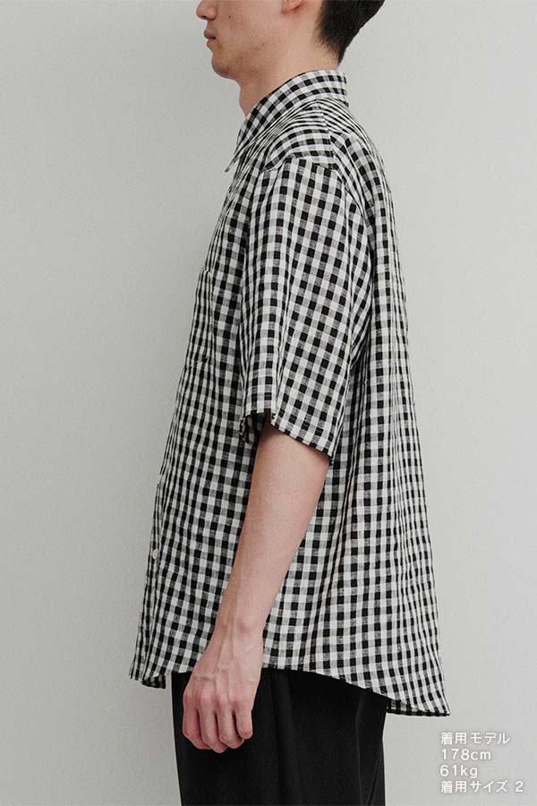 S/S Shirt (generic) ② gingham