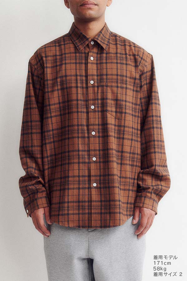 Dress shirt (check)