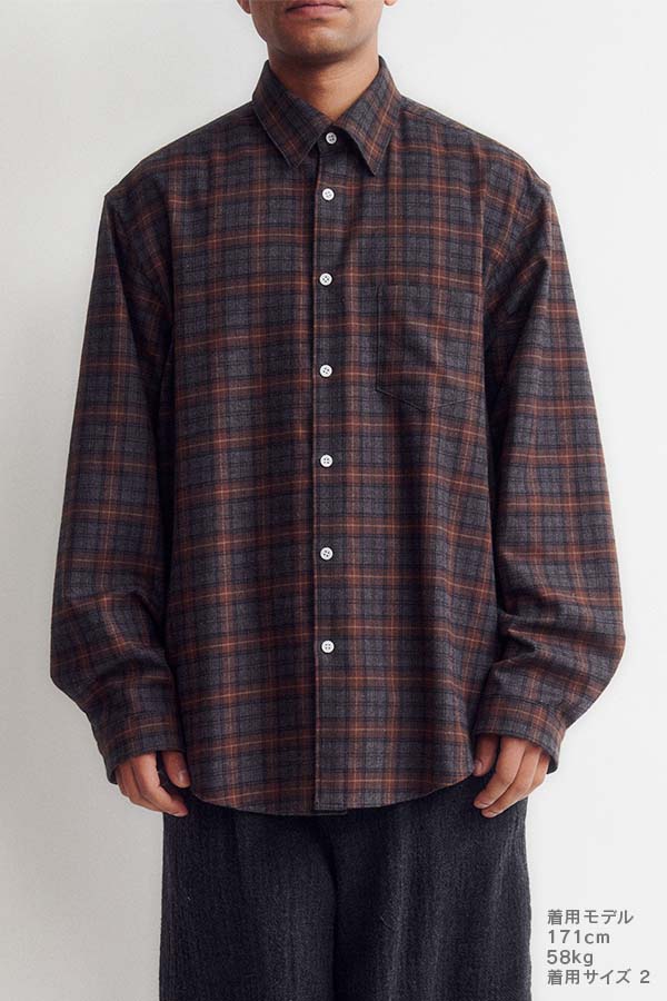 Dress shirt (check)