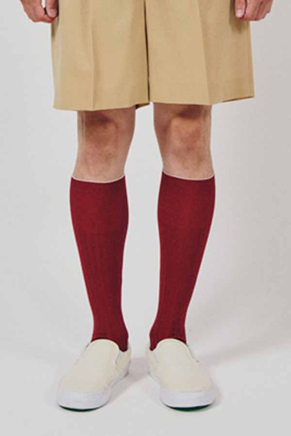 Rib semi-long socks/MENS(Kleuren ×DIGAWEL)