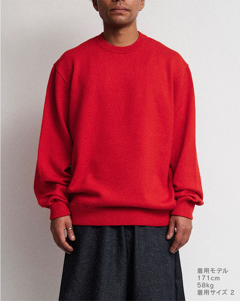 Extrafine merino wool sweater