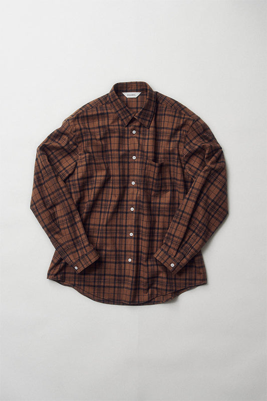 Dress shirt (check)