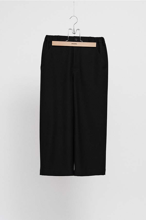 STLTH Wide pants (F/CE.×DIGAWEL)